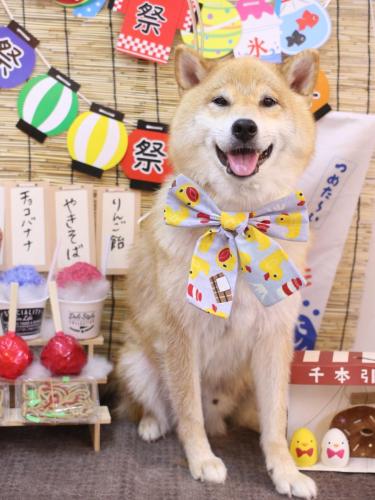 20240723こまくん